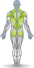 Matte Körperheben, Bauchlage Muskeln Rückseite