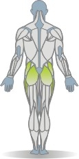 Matte Beinheben, Seitlage, einbeinig Muskeln Rückseite