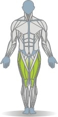Balance Pad Squat Muscles Front