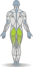 Eigengewicht Hftstrecken, stehend, gebeugtes Bein Muskeln Rckseite