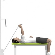 Cable Triceps Extension, Lying, One Arm Ending Position