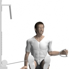 Cable External Rotation, Seated Ending Position