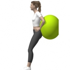 Fitness Ball Squat, Wall Starting Position