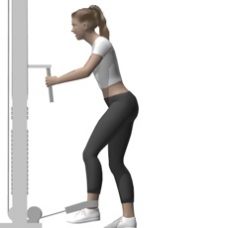 Cable Hip Extension, Standing Starting Position