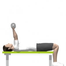 Dumbbell Triceps Extension, Lying Starting Position