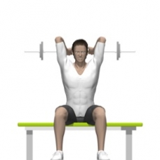 Barbell Triceps Extension, Seated Ending Position