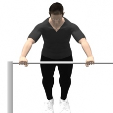 Monkeybars Push-up, Incline Starting Position