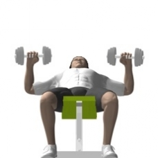 Dumbbell Bench Press, Incline Starting Position