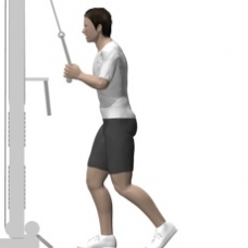 Cable Pushdown, Rope Starting Position