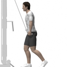 Cable Pushdown, Rope Ending Position
