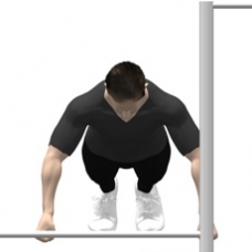 Monkeybars Push-up, Parallel Bars Starting Position