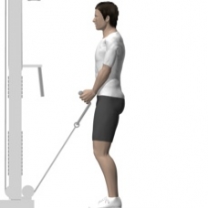 Cable Curl, Standing, Rope Starting Position