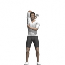 Dumbbell Triceps Extension, Standing, One Arm Starting Position