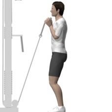 Cable Curl, Standing, Rope Ending Position