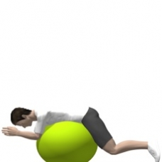 Fitness Ball Butterfly Reverse, Prone Starting Position