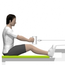 Cable Seated Row, Narrow Grip Starting Position