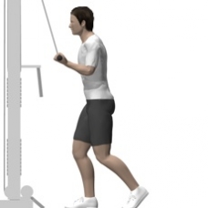 Cable Pushdown, Reverse Grip Starting Position