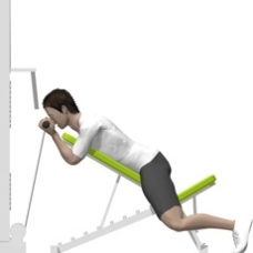 Cable Incline Curl, Prone Ending Position