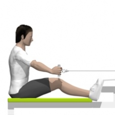 Cable Seated Row, Wide Grip Starting Position