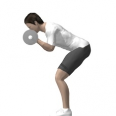 Barbell Curl, Bent-over Ending Position