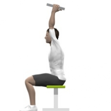 Weight Plate Triceps Extension, Seated Starting Position