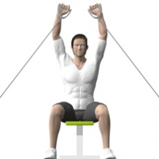 Cable Shoulder Press, Seated Ending Position