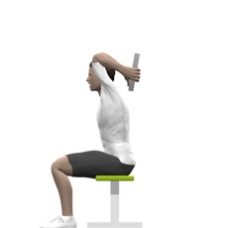 Weight Plate Triceps Extension, Seated Ending Position
