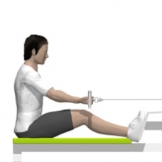Cable Seated Row, Reverse Grip Starting Position