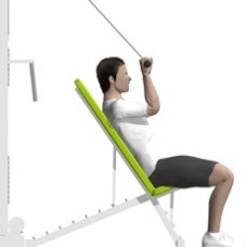 Cable Triceps Extension, Incline Starting Position
