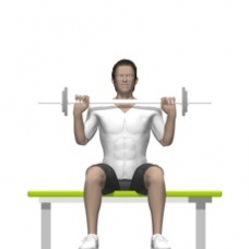 Barbell Shoulder Press, Seated Starting Position