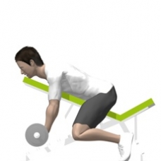 Barbell Curl, Incline Starting Position