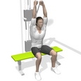 Triceps Extension, Seated
