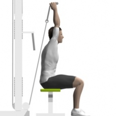 Cable Triceps Extension, Seated Ending Position