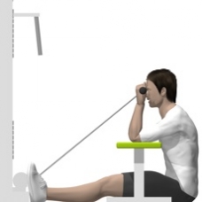 Cable Cable Curl, Seated, Flat Bench Ending Position