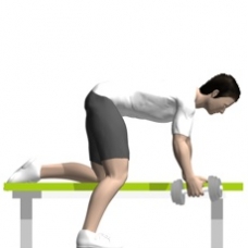 Dumbbell Row, Bent-over Starting Position