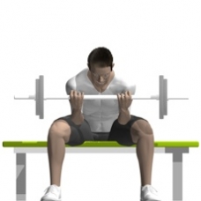 Barbell Concentration Curl Ending Position