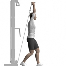 Cable Triceps Extension, Standing Ending Position