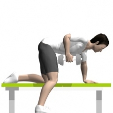 Dumbbell Row, Bent-over Ending Position
