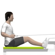 Cable Seated Row, Hip Extension Ending Position