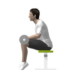 Barbell Calf Press, Seated Ending Position