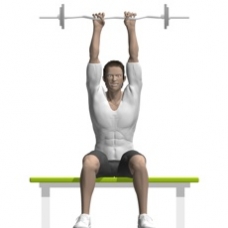Ez-Bar Triceps Extension, Seated Ending Position