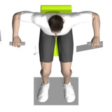 Lever Chest Press Starting Position