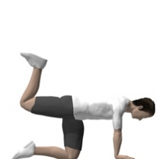 Mat Hip Extension, Quadruped, Flexed Leg Ending Position