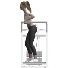 Lever Standing Hip Extension Starting Position