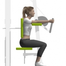 Lever Triceps Extension Ending Position