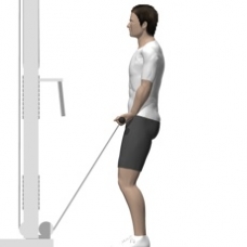 Cable Curl, Standing Starting Position