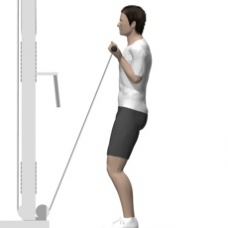 Cable Curl, Standing Ending Position