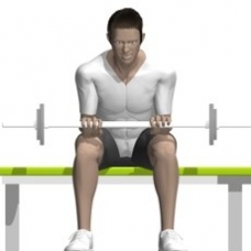 Barbell Wrist Extension Ending Position