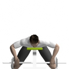 Barbell Row, Prone Starting Position