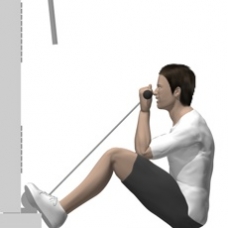 Cable Curl, Seated Ending Position